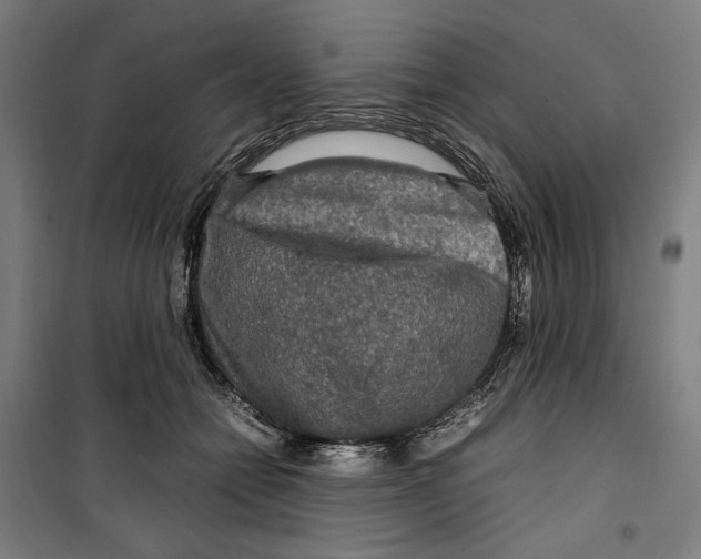 X0000099490558200806121354