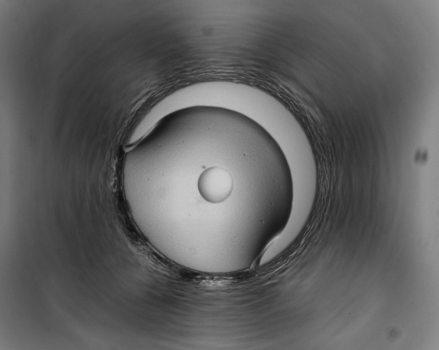 X0000099490560200806121354