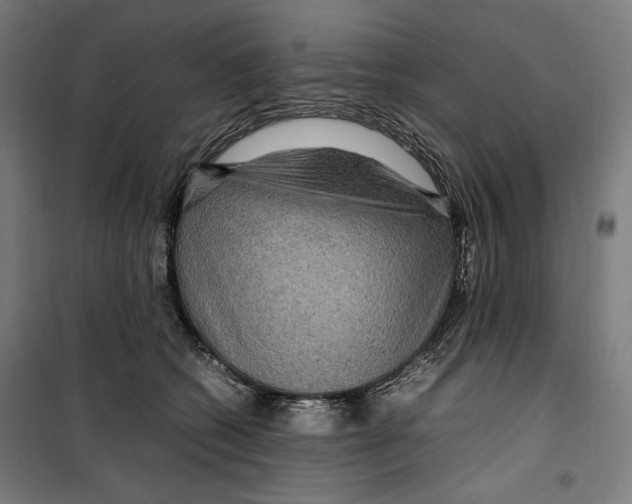 X0000099490562200806121354