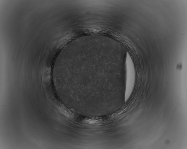 X0000099490563200806121355