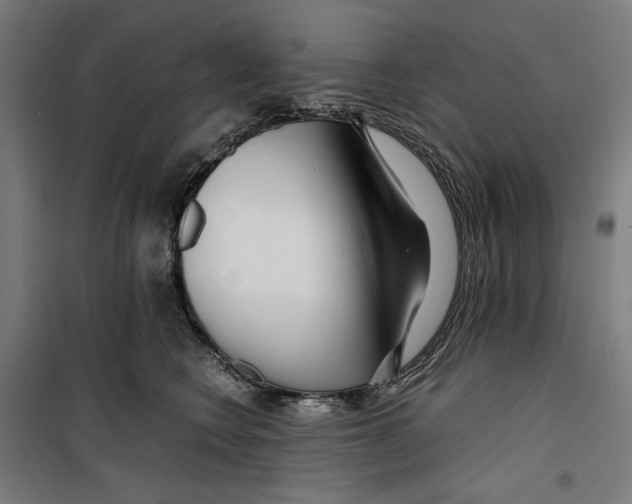 X0000099490566200806121355