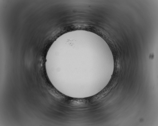 X0000099490567200806121355