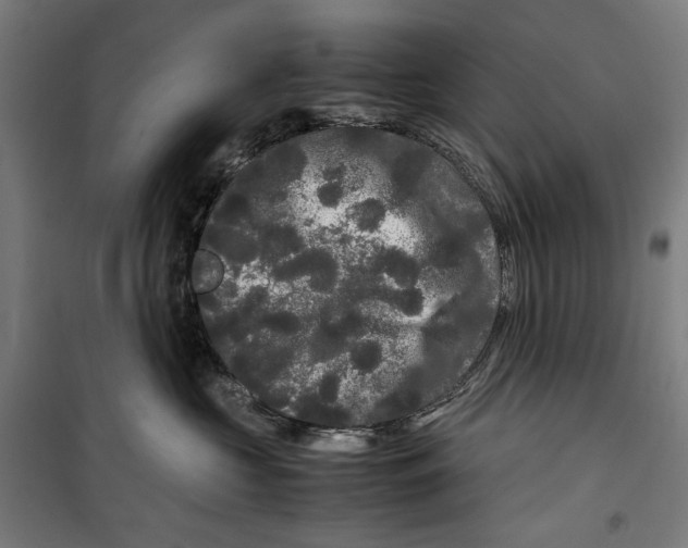 X0000099490573200806121355