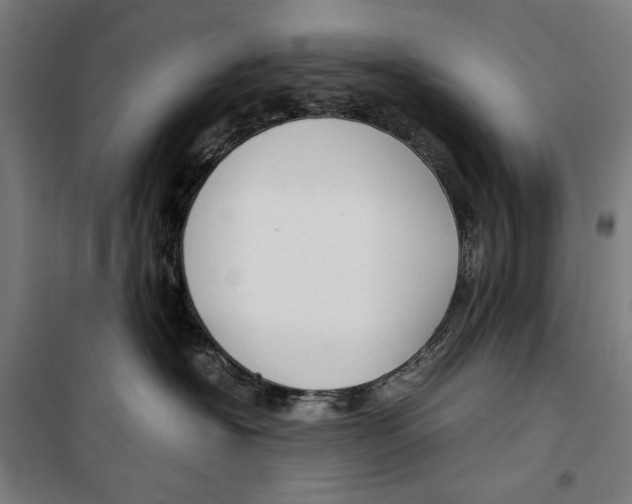 X0000099490574200806121355