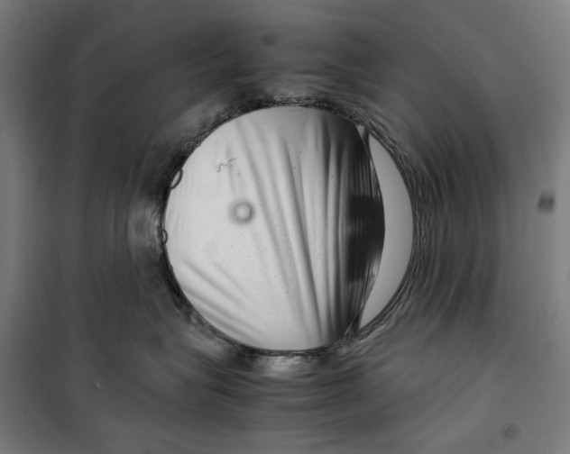 X0000099490575200806121355