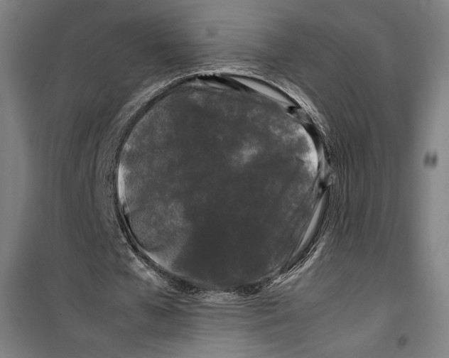 X0000099490577200806121354