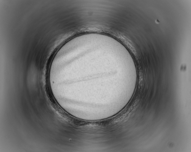 X0000099490578200806121354