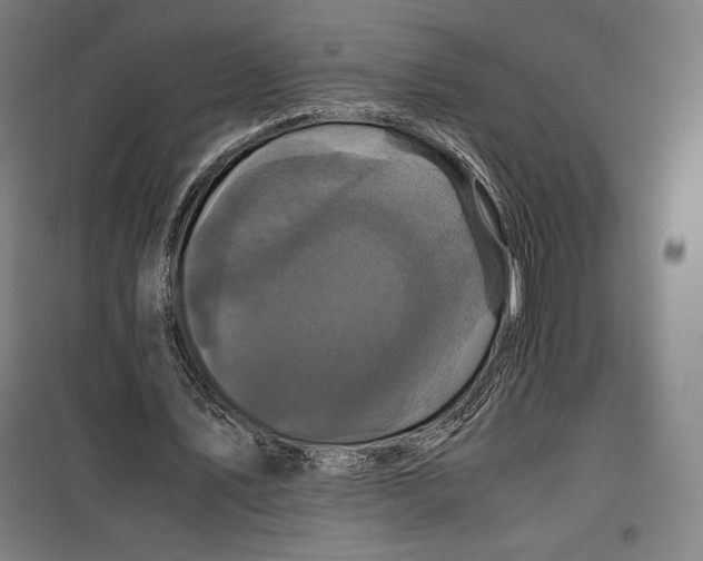 X0000099490579200806121354