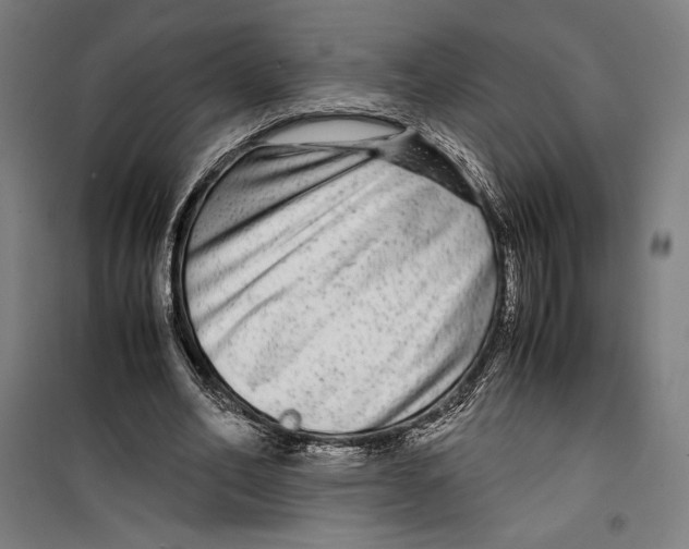 X0000099490582200806121354