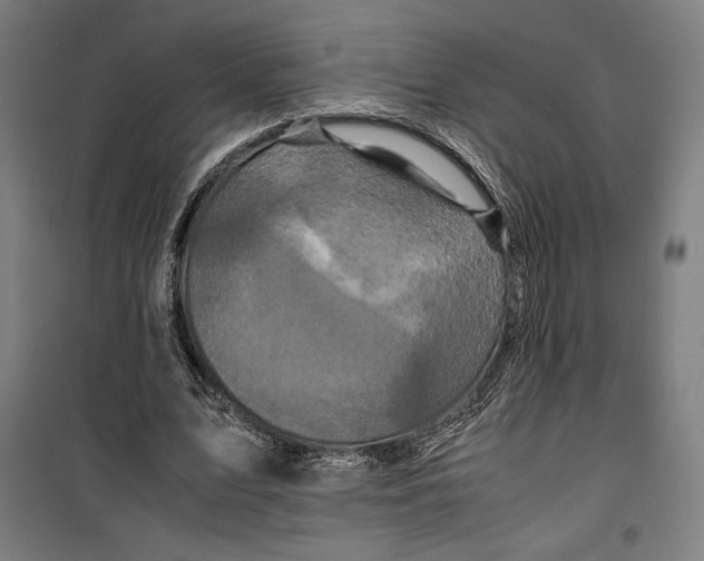 X0000099490583200806121354