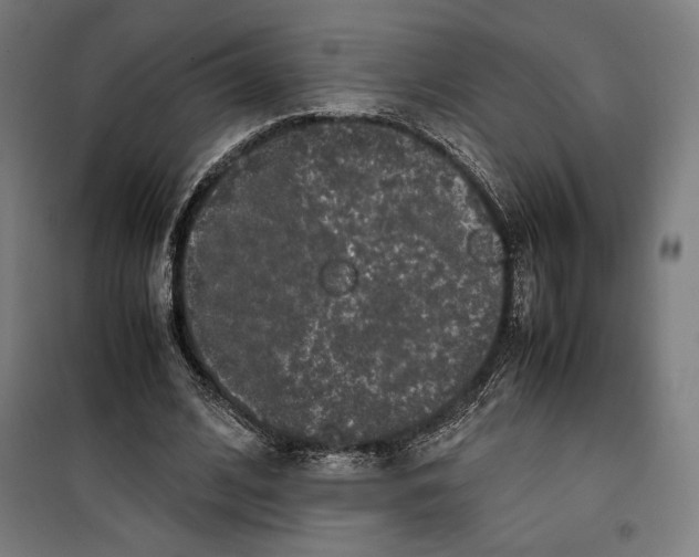 X0000099490584200806121354