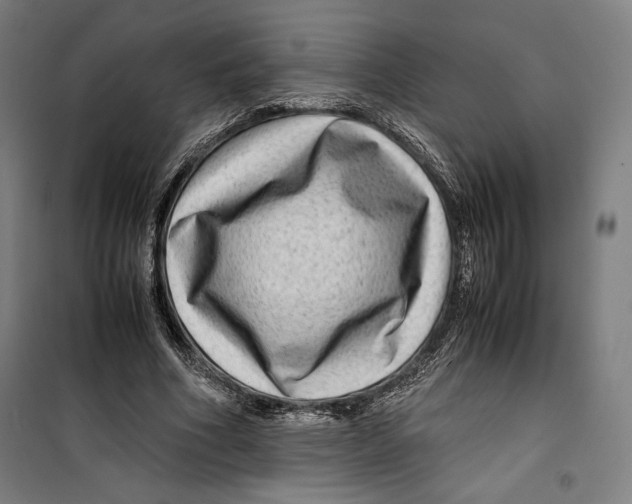 X0000099490586200806121354