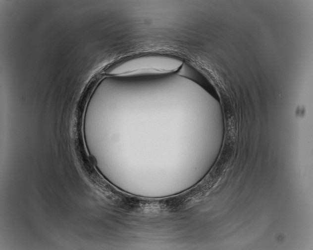 X0000099490587200806121354