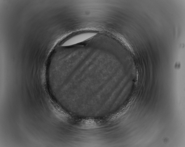 X0000099490588200806121354