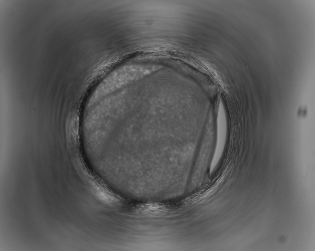 X0000099490589200806121354