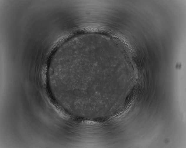 X0000099490590200806121354