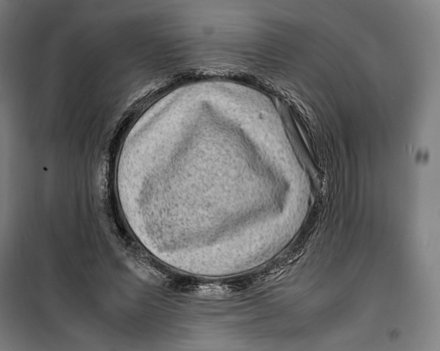 X0000099490591200806121354