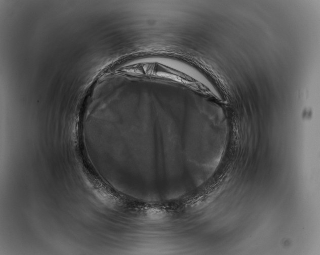 X0000099490592200806121354