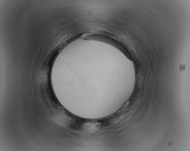 X0000099490595200806121354