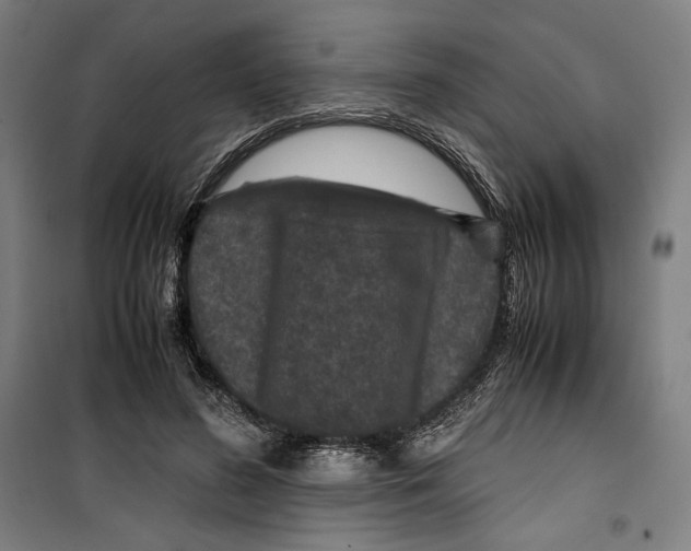 X0000099490596200806121354