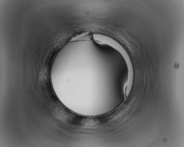 X0000099490597200806121354