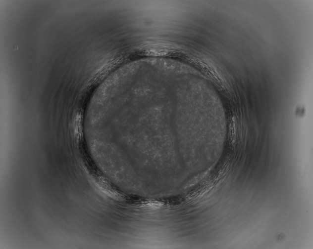 X0000099490598200806121354