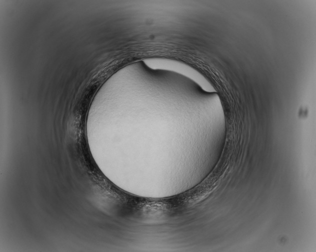 X0000099490599200806121354