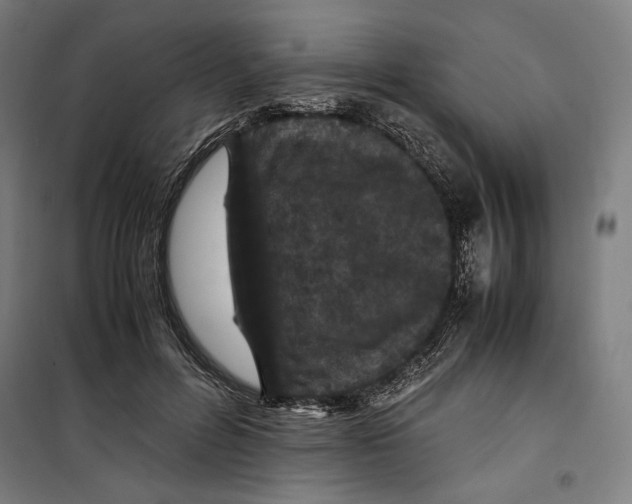 X0000099490600200806121354