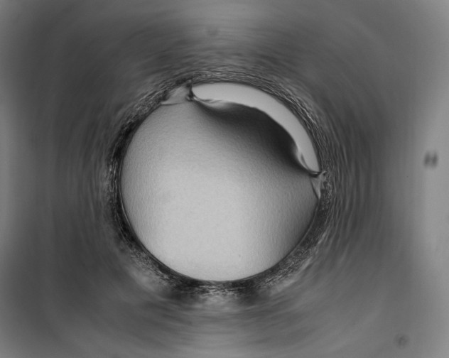 X0000099490601200806121354