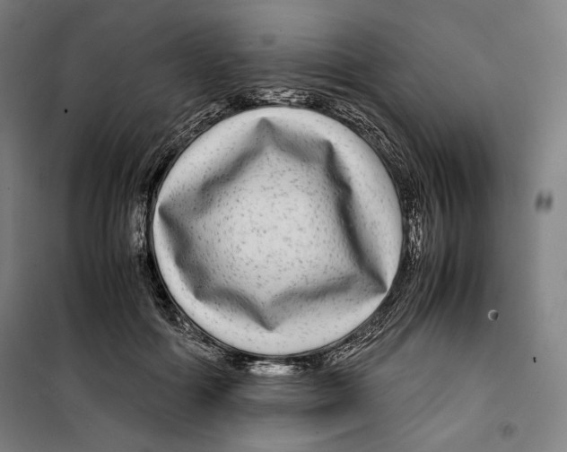 X0000099490602200806121354