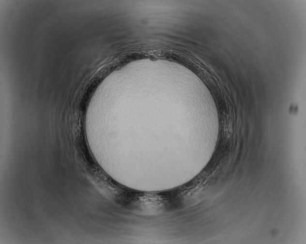 X0000099490603200806121354