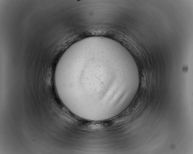 X0000099490604200806121354