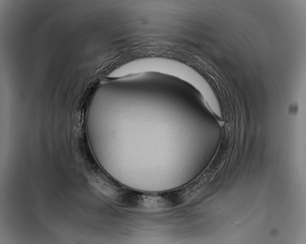 X0000099490605200806121354