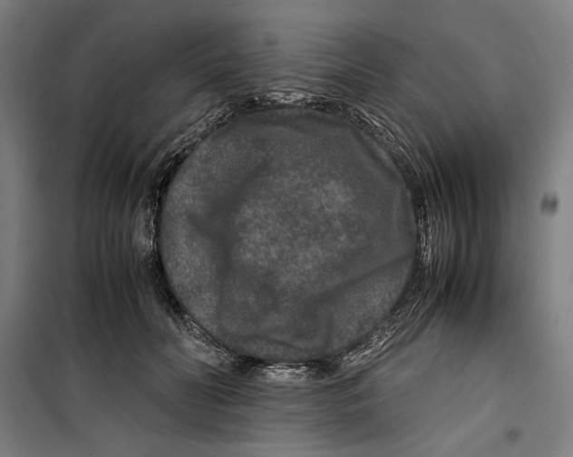 X0000099490606200806121354