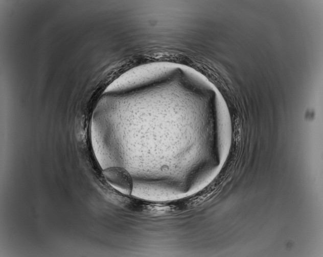 X0000099490607200806121354