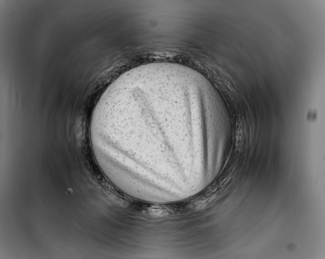 X0000099490608200806121354