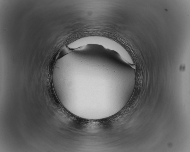 X0000099490609200806121354