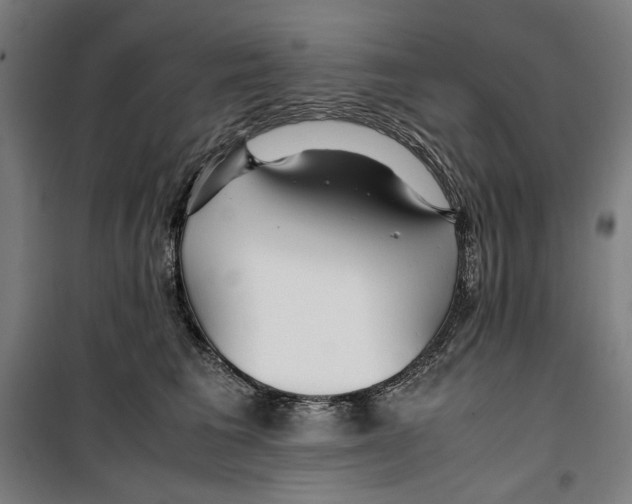 X0000099490613200806121354