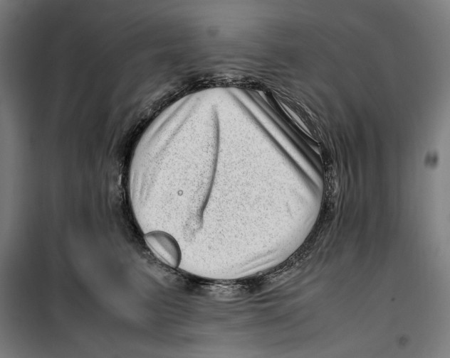 X0000099490615200806121353