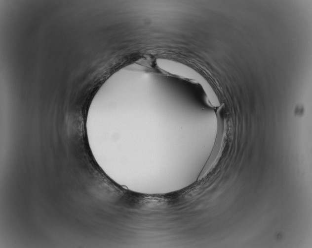 X0000099490617200806121353