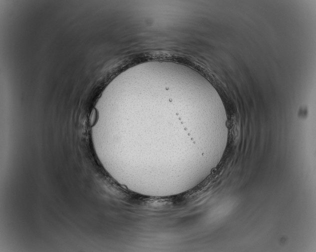 X0000099490619200806121353