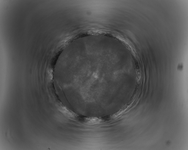 X0000099490621200806121353