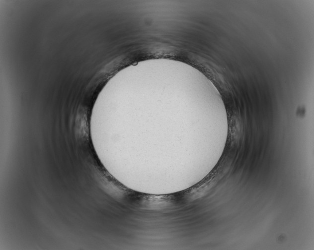 X0000099490622200806121353