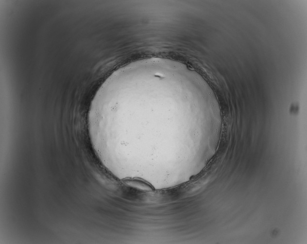 X0000099490623200806121353