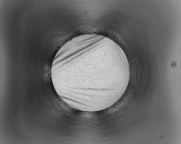 X0000099490624200806121353