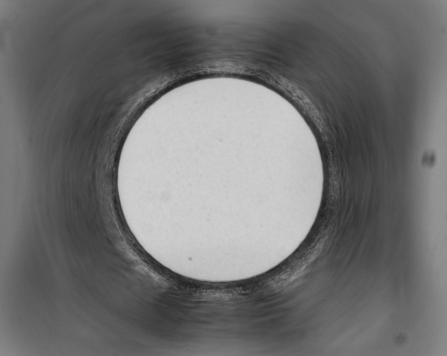 X0000099490625200806121353