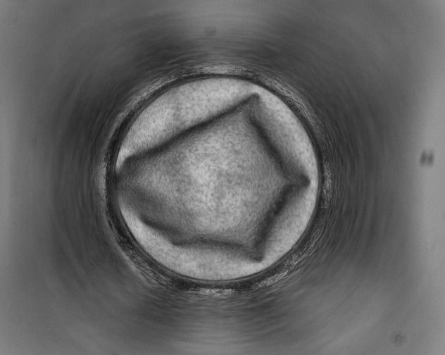 X0000099490626200806121353