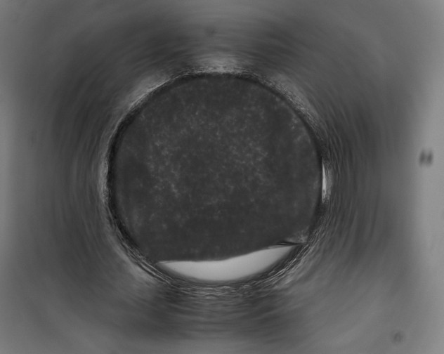 X0000099490627200806121353