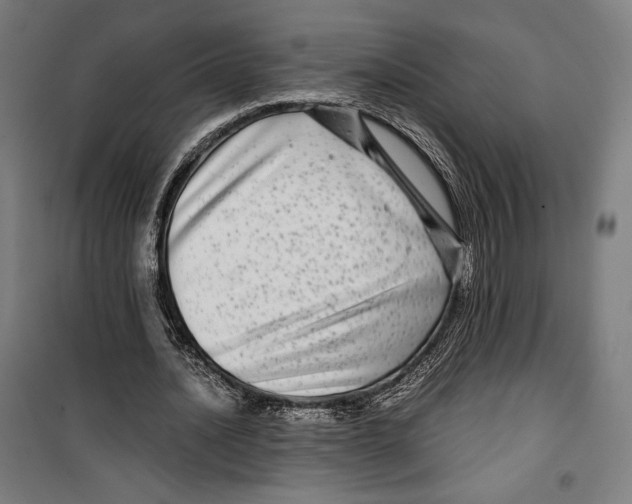 X0000099490628200806121353