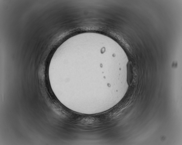 X0000099490631200806121353